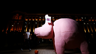 Пред зурлата на прасето - протест в подкрепа на Коцев и Барбутов затвори 